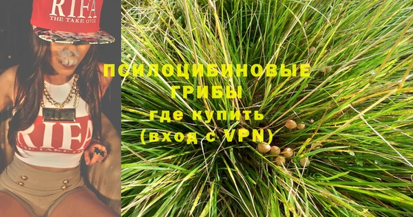прущие крисы Алексеевка