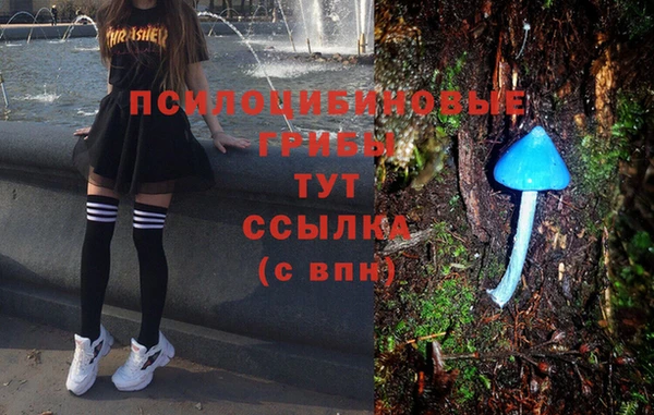 прущие крисы Алексеевка